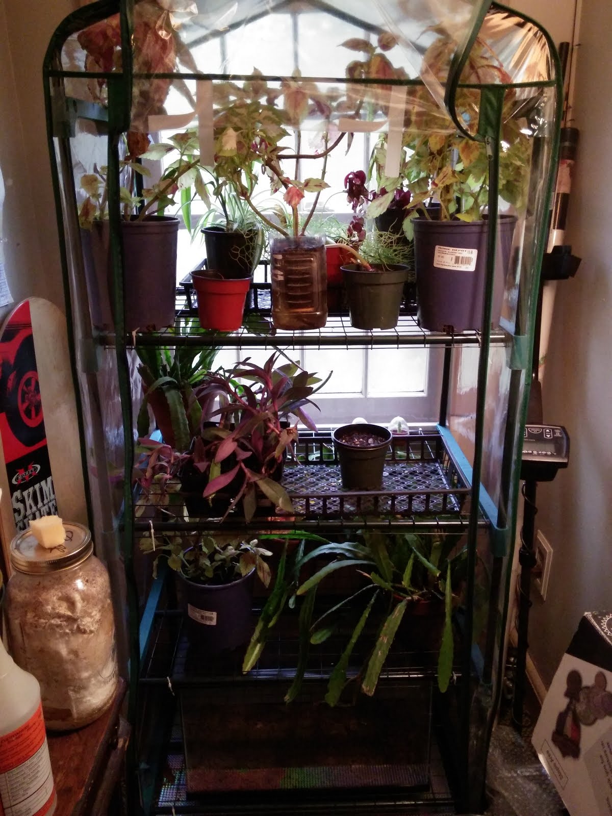 Setting up an indoor greenhouse